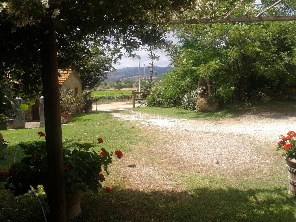 Poggio Dell'Olivo Villa Pitigliano Ngoại thất bức ảnh