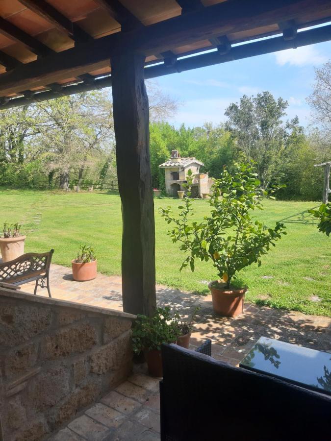 Poggio Dell'Olivo Villa Pitigliano Ngoại thất bức ảnh