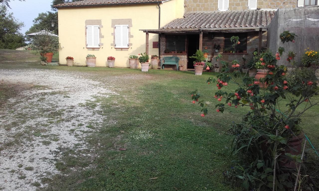 Poggio Dell'Olivo Villa Pitigliano Ngoại thất bức ảnh