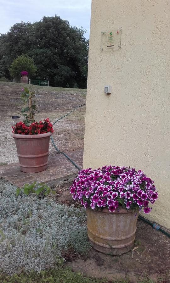 Poggio Dell'Olivo Villa Pitigliano Ngoại thất bức ảnh